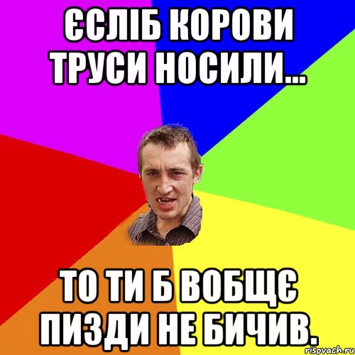 єсліб корови труси носили... то ти б вобщє пизди не бичив., Мем Чоткий паца