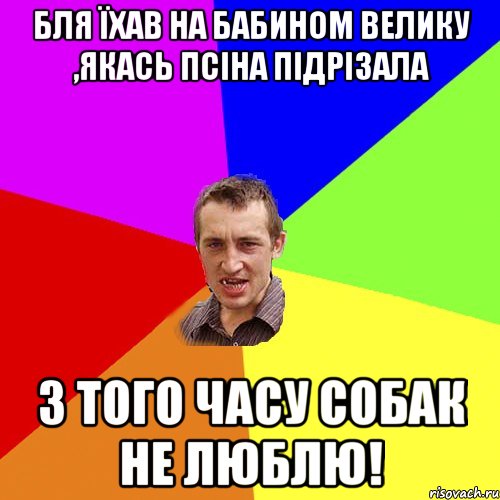 бля їхав на бабином велику ,якась псіна підрізала з того часу собак не люблю!, Мем Чоткий паца