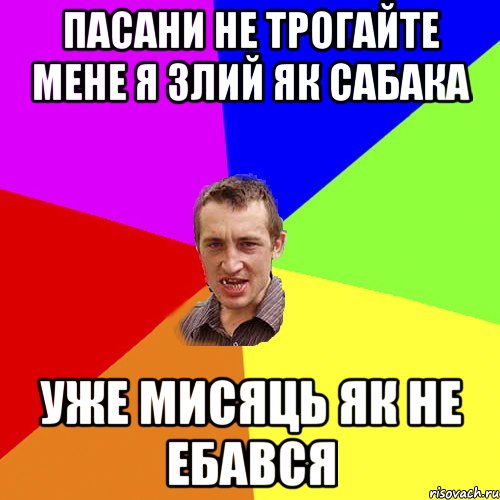 пасани не трогайте мене я злий як сабака уже мисяць як не ебався, Мем Чоткий паца