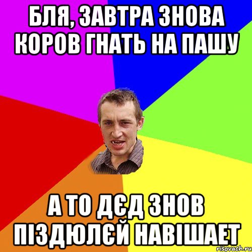 бля, завтра знова коров гнать на пашу а то дєд знов піздюлєй навішает, Мем Чоткий паца