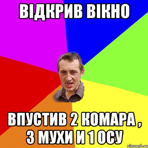 відкрив вікно впустив 2 комара , 3 мухи и 1 осу, Мем Чоткий паца