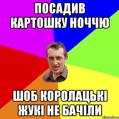 посадив картошку ноччю шоб королацькі жукі не бачіли, Мем Чоткий паца