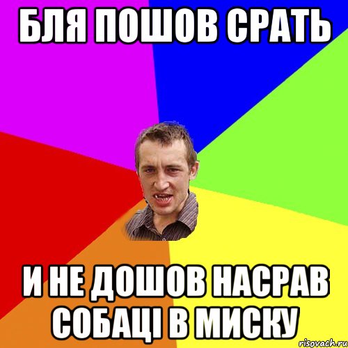 бля пошов срать и не дошов насрав собаці в миску, Мем Чоткий паца