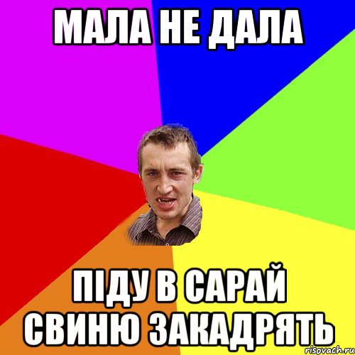 мала не дала піду в сарай свиню закадрять, Мем Чоткий паца