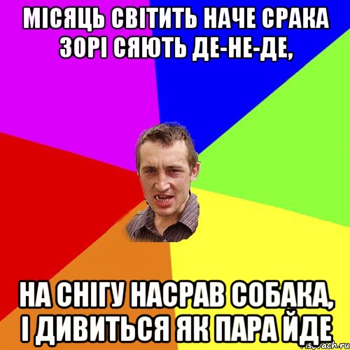 місяць світить наче срака зорі сяють де-не-де, на снігу насрав собака, і дивиться як пара йде, Мем Чоткий паца