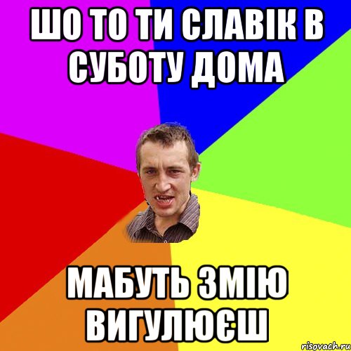 шо то ти Славік в суботу дома мабуть змію вигулюєш, Мем Чоткий паца