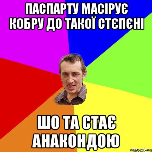 Паспарту масірує кобру до такої стєпєні шо та стає анакондою, Мем Чоткий паца