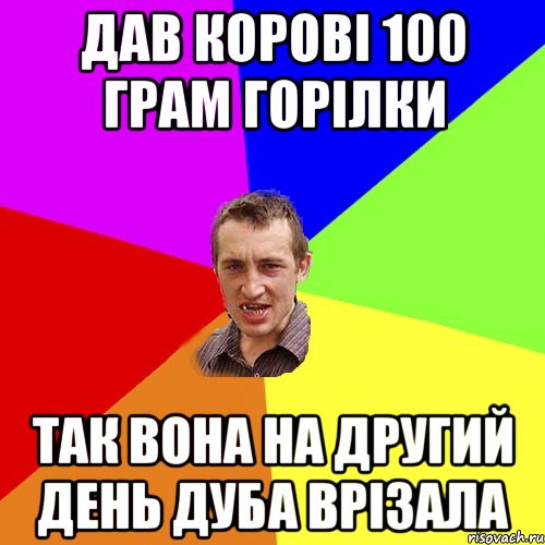 Дав корові 100 грам горілки так вона на другий день дуба врізала, Мем Чоткий паца