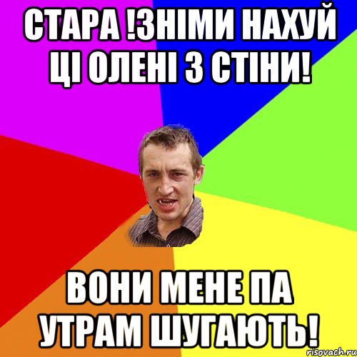 стара !зніми нахуй ці олені з стіни! вони мене па утрам шугають!, Мем Чоткий паца