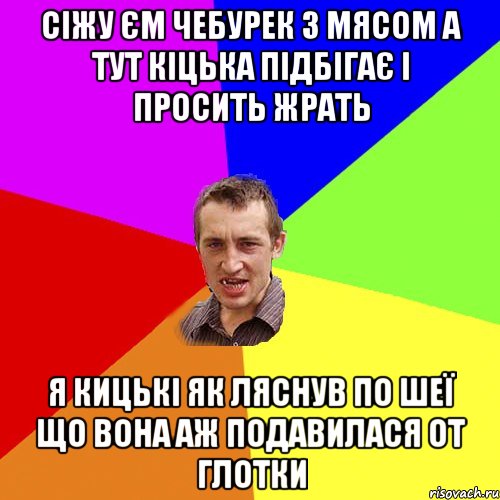 сіжу єм чебурек з мясом а тут кіцька підбігає і просить жрать я кицькі як ляснув по шеї що вона аж подавилася от глотки, Мем Чоткий паца