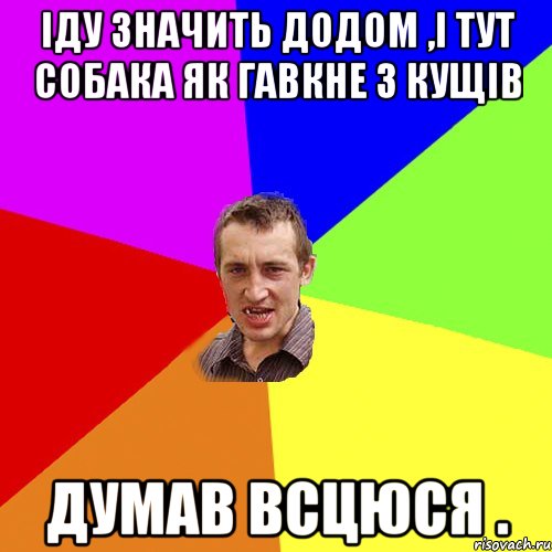 Іду значить додом ,і тут собака як гавкне з кущів думав всцюся ., Мем Чоткий паца