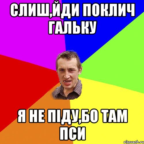 Слиш,йди поклич Гальку Я не піду,бо там пси, Мем Чоткий паца