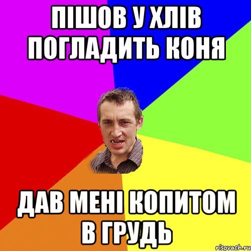 пішов у хлів погладить коня дав мені копитом в грудь, Мем Чоткий паца