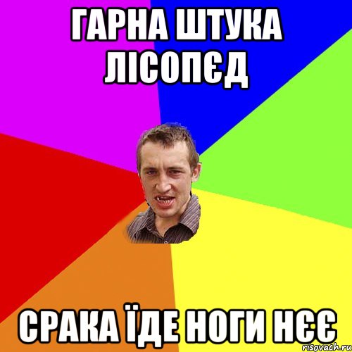 Гарна штука лісопєд срака їде ноги нєє, Мем Чоткий паца