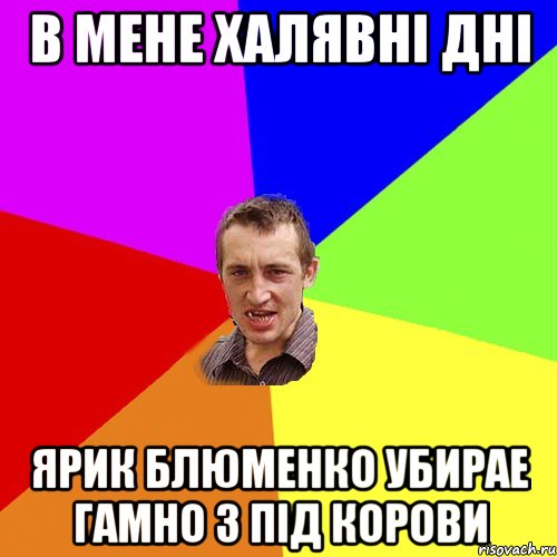 в мене халявні дні Ярик Блюменко убирае гамно з під корови, Мем Чоткий паца