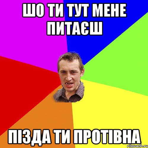 Шо ти тут мене питаєш пізда ти протівна, Мем Чоткий паца