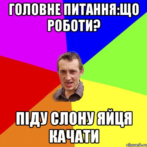 Головне питання:Що роботи? піду слону яйця качати, Мем Чоткий паца