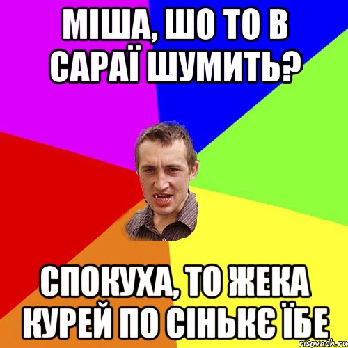 Міша, шо то в сараї шумить? Спокуха, то Жека курей по сінькє їбе, Мем Чоткий паца