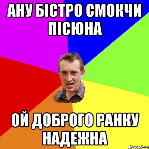 Ану бістро смокчи пісюна Ой доброго ранку Надежна, Мем Чоткий паца