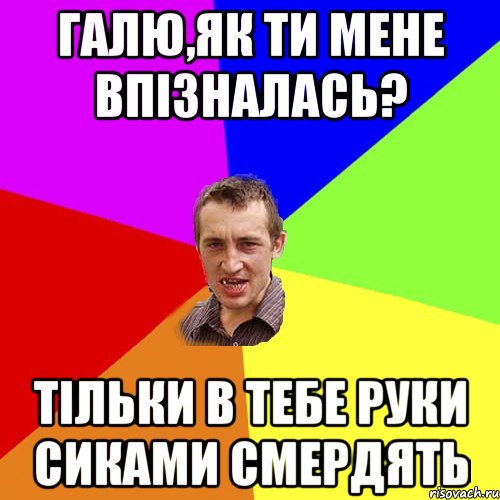 Галю,як ти мене впізналась? Тільки в тебе руки сиками смердять, Мем Чоткий паца