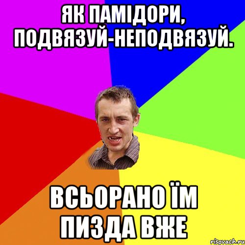 Як памідори, подвязуй-неподвязуй. Всьорано їм пизда вже, Мем Чоткий паца