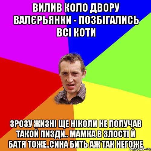 Вилив коло двору валєрьянки - позбігались всі коти Зрозу жизні ще ніколи не получав такой пизди.. мамка в злості й батя тоже..сина бить аж так негоже, Мем Чоткий паца