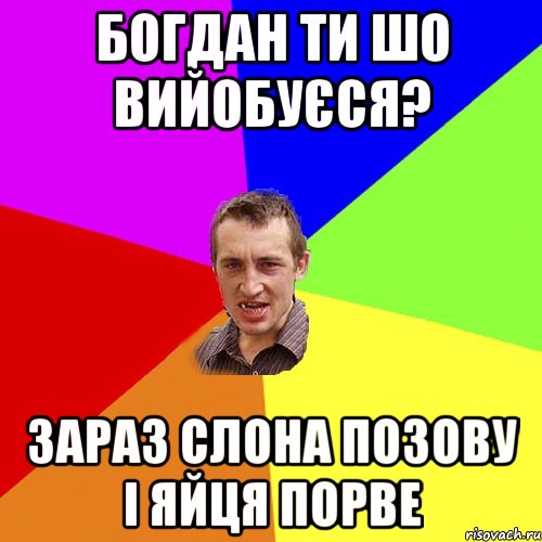 Богдан ти шо вийобуєся? Зараз слона позову і яйця порве, Мем Чоткий паца