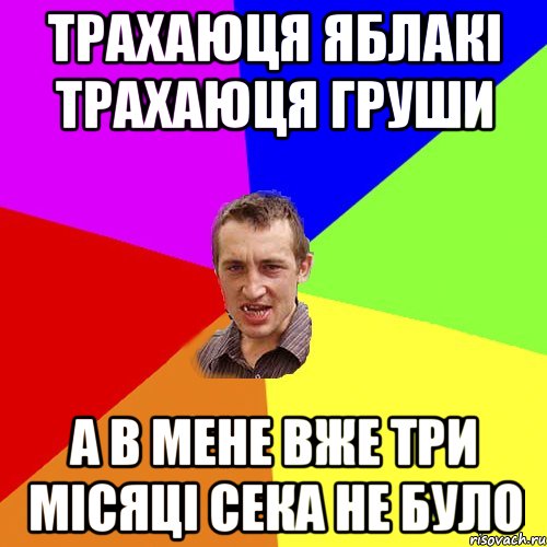 трахаюця яблакі трахаюця груши а в мене вже три місяці сека не було, Мем Чоткий паца