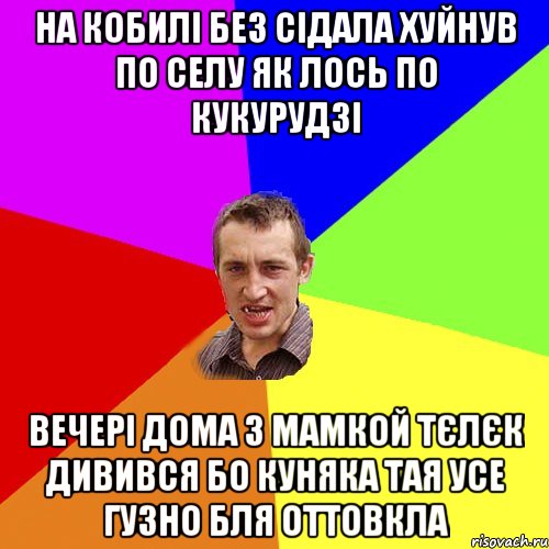 на кобилі без сідала хуйнув по селу як лось по кукурудзі вечері дома з мамкой тєлєк дивився бо куняка тая усе гузно бля оттовкла