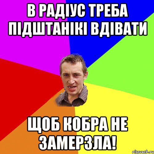 В РАДІУС ТРЕБА ПІДШТАНІКІ ВДІВАТИ ЩОБ КОБРА НЕ ЗАМЕРЗЛА!, Мем Чоткий паца