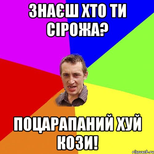 Знаєш хто ти Сірожа? Поцарапаний хуй Кози!, Мем Чоткий паца