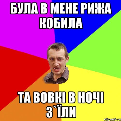 Була в мене рижа кобила Та вовкі в ночі з`їли, Мем Чоткий паца