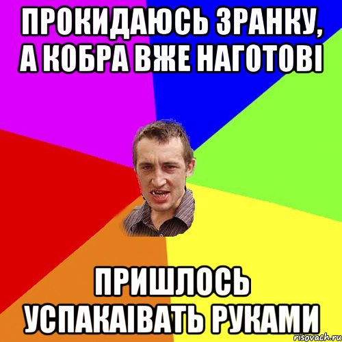 прокидаюсь зранку, а кобра вже наготові пришлось успакаівать руками, Мем Чоткий паца