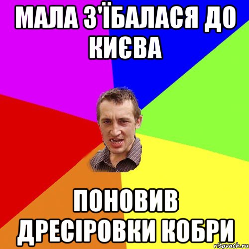 мала з'їбалася до києва поновив дресіровки кобри, Мем Чоткий паца