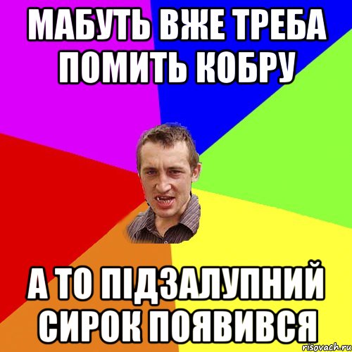 Мабуть вже треба помить кобру а то підзалупний сирок появився, Мем Чоткий паца