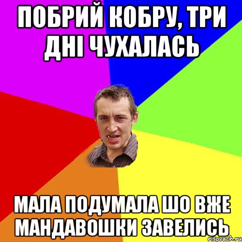 Побрий кобру, три дні чухалась мала подумала шо вже мандавошки завелись, Мем Чоткий паца