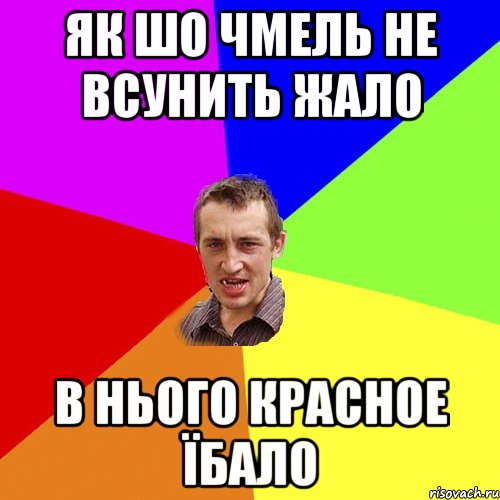 Як шо Чмель не всунить жало В нього красное їбало, Мем Чоткий паца