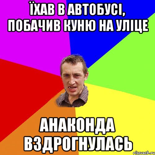 їхав в автобусі, побачив куню на уліце анаконда вздрогнулась, Мем Чоткий паца