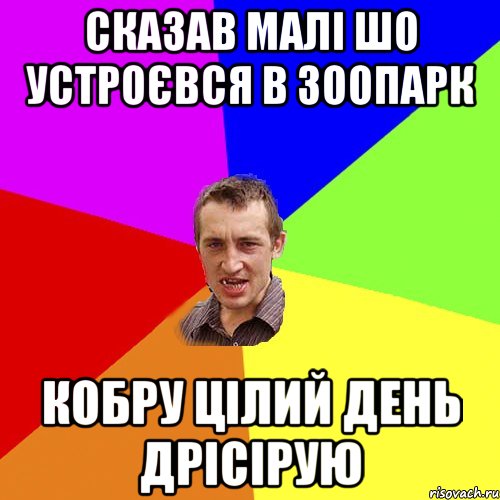 сказав малі шо устроєвся в зоопарк кобру цілий день дрісірую, Мем Чоткий паца