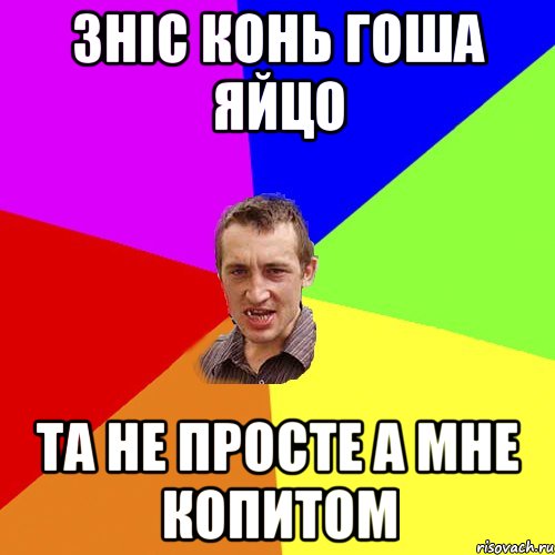 Зніс конь гоша яйцо Та не просте а мне копитом, Мем Чоткий паца