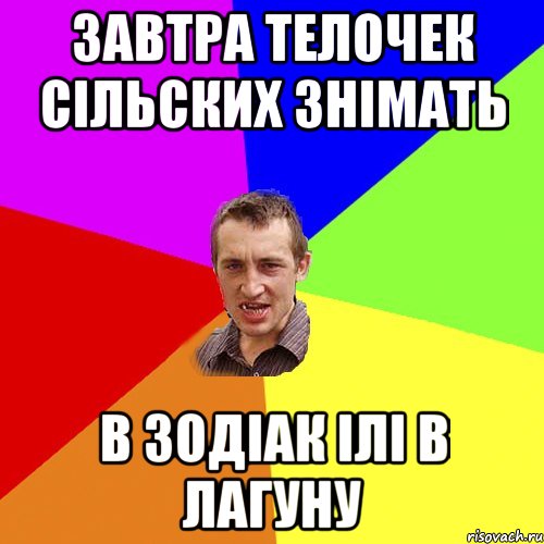 Завтра телочек сільских знімать В Зодіак ілі в Лагуну, Мем Чоткий паца