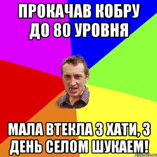 Прокачав кобру до 80 уровня Мала втекла з хати, 3 день селом шукаем!, Мем Чоткий паца