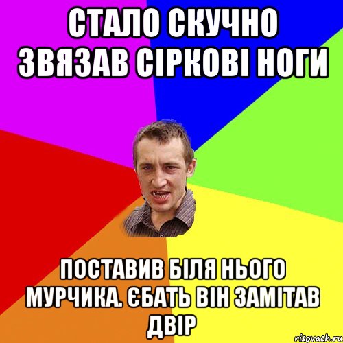 стало скучно звязав сіркові ноги поставив біля нього мурчика. єбать він замітав двір, Мем Чоткий паца