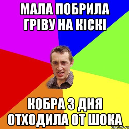 мала побрила гріву на кіскі кобра 3 дня отходила от шока, Мем Чоткий паца