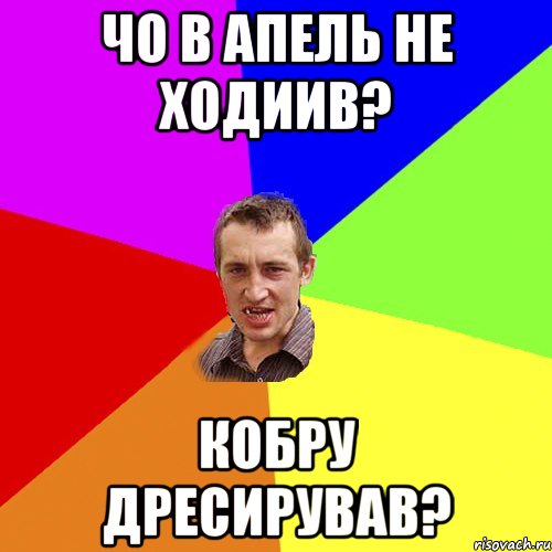 чо в апель не ходиив? кобру дресирував?, Мем Чоткий паца