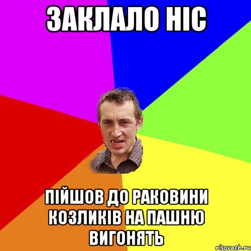 заклало ніс пійшов до раковини козликів на пашню вигонять, Мем Чоткий паца