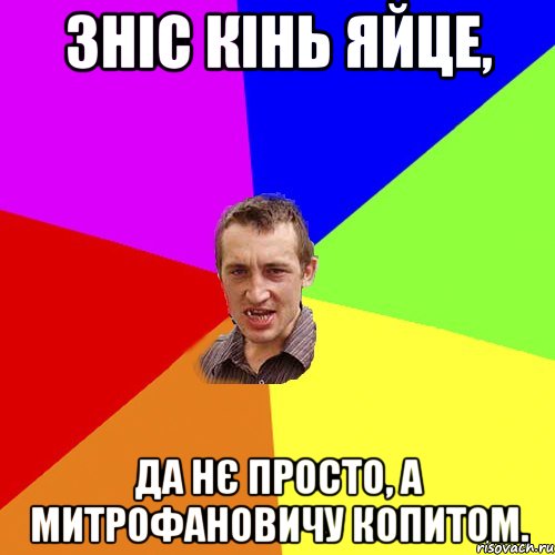 ЗНІС КІНЬ ЯЙЦЕ, ДА НЄ ПРОСТО, А МИТРОФАНОВИЧУ КОПИТОМ., Мем Чоткий паца