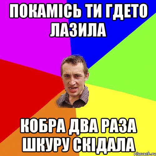 Покамісь ти гдето лазила Кобра Два раза шкуру скідала, Мем Чоткий паца