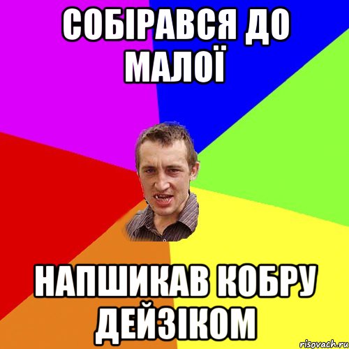 Собірався до малої Напшикав кобру дейзіком, Мем Чоткий паца