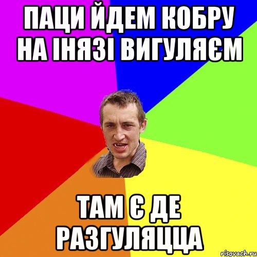 паци йдем кобру на інязі вигуляєм там є де разгуляцца, Мем Чоткий паца